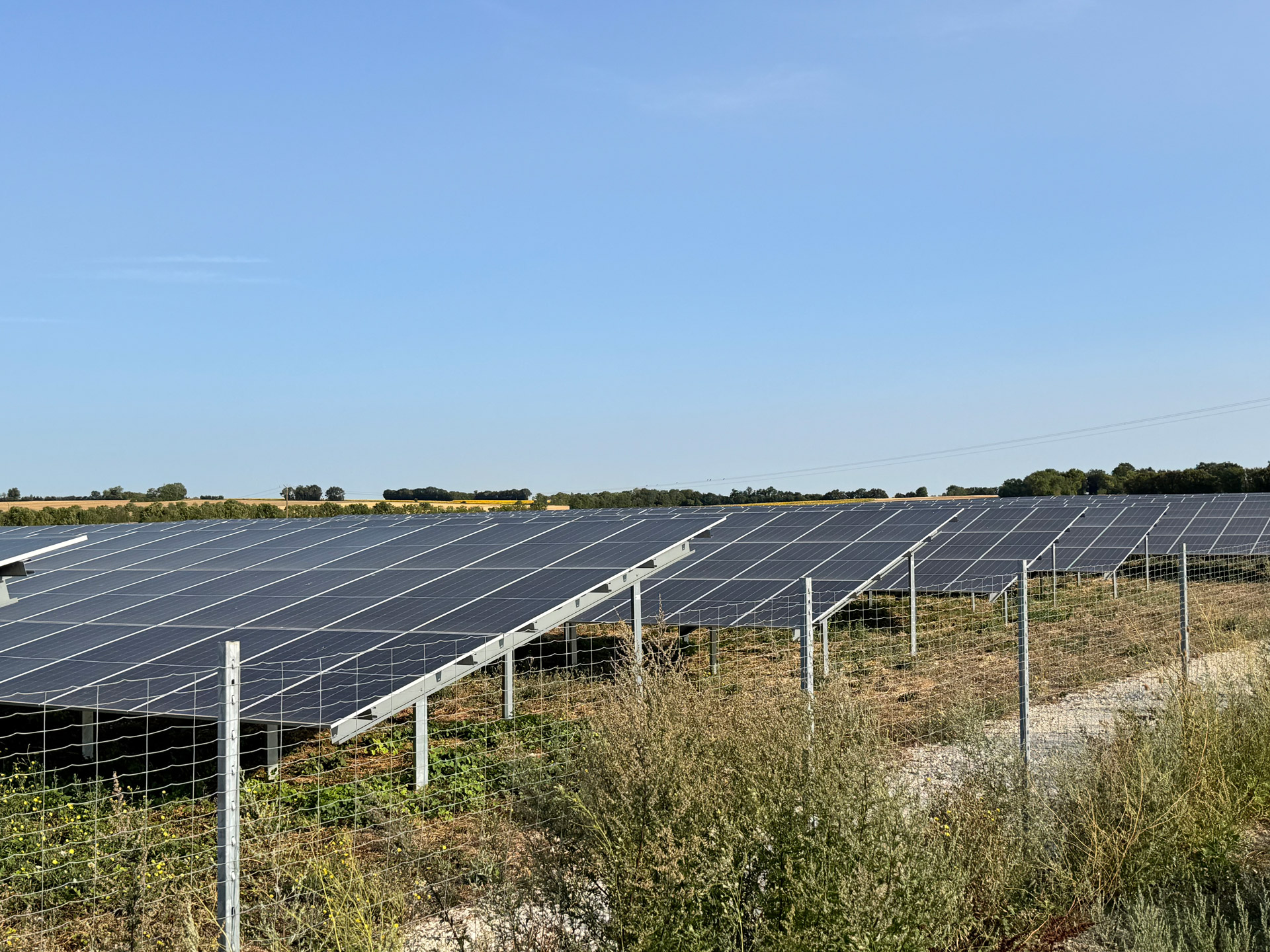 Investir dans les énergies renouvelables