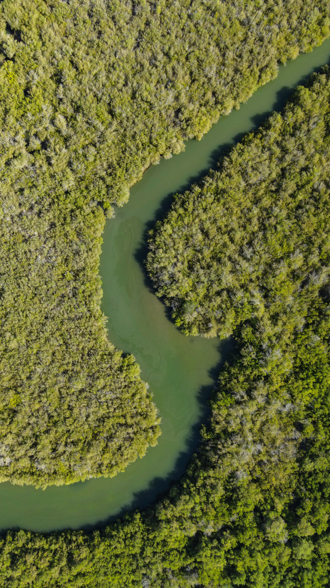 Conditions Générales|de Vente